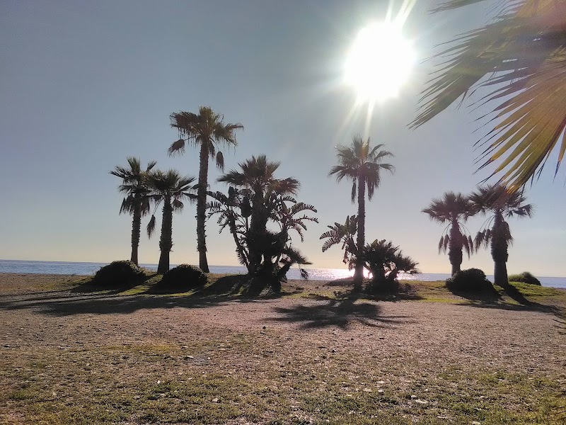 Almunecar Balobar Sa