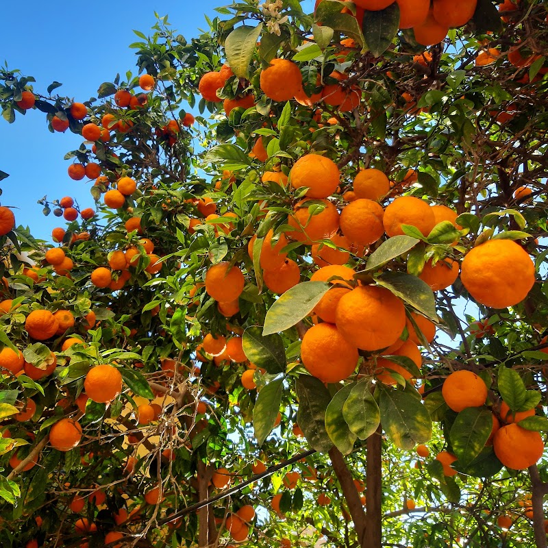 Cumpleaños Rincón de la Victoria - Alquiler local fiestas infantiles DEPORTAE