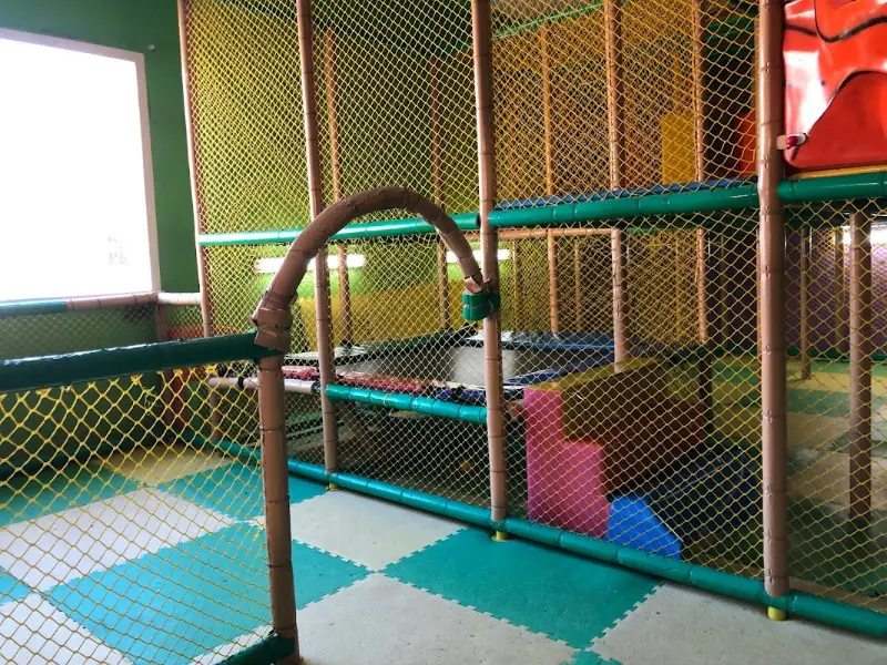 Junglaventura Cumpleaños