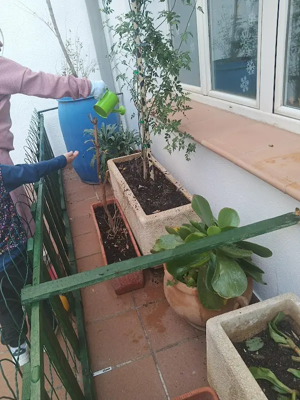 Ludoteca Luz de Girasol